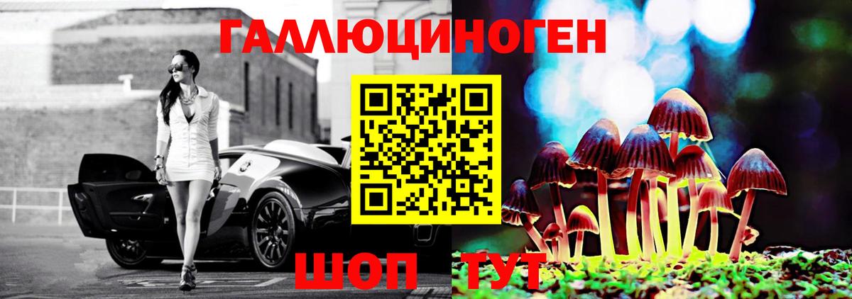 Псилоцибиновые грибы MAGIC MUSHROOMS Полевской